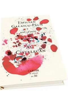 Coperta cărții sanG d'encre - Emilian-Galaicu Paun