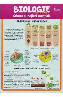 Coperta cărții Biologie - Clasa 6 - Scheme si notiuni esentale - Silvia Olteanu, Camelia Manea, Iuliana Tanur