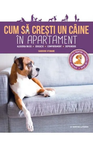 Coperta cărții Cum să crești un câine în apartament