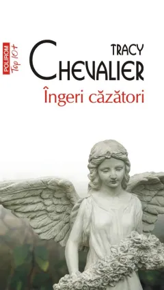 Coperta cărții Îngeri căzători