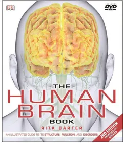 Coperta cărții The human brain book