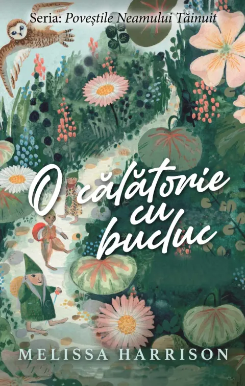 Coperta cărții O călătorie cu bucluc