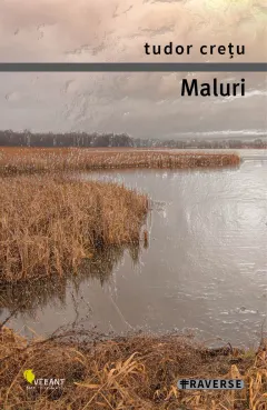 Coperta cărții Maluri