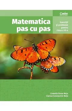 Coperta cărții Matematica pas cu pas - Clasa 6 - Exercitii si probleme - Camelia Elena Neta, Ciprian Constantin Neta