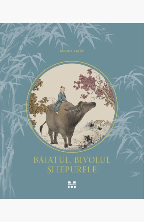 Coperta cărții Băiatul, bivolul și iepurele