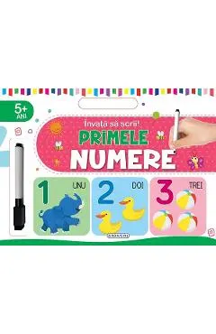 Coperta cărții Invata sa scrii! Primele numere