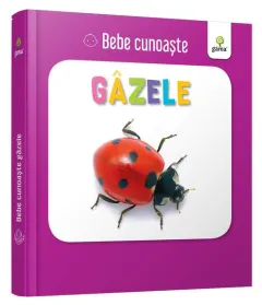 Coperta cărții Gâzele. Bebe cunoaște