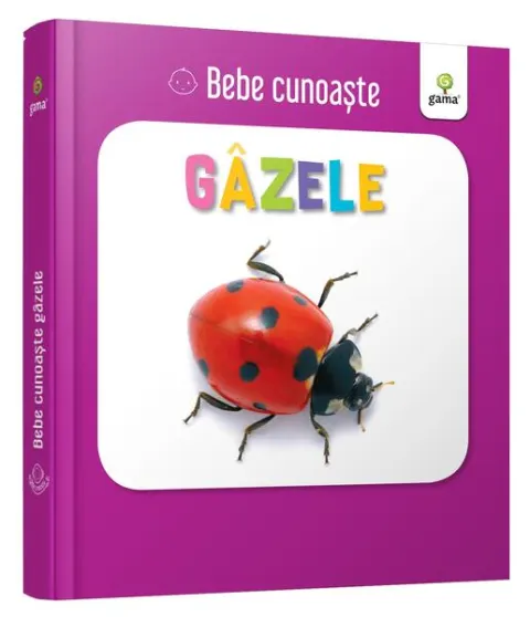 Coperta cărții Gâzele. Bebe cunoaște