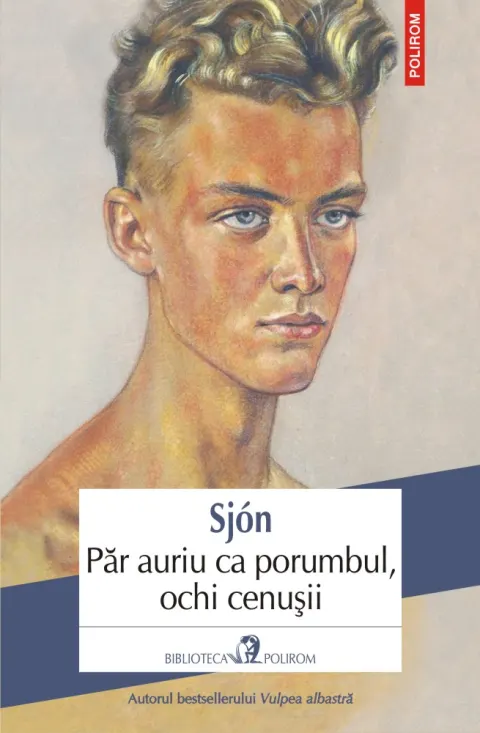 Coperta cărții Păr auriu ca porumbul, ochi cenușii