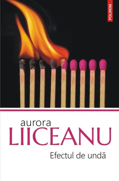 Coperta cărții Efectul de undă