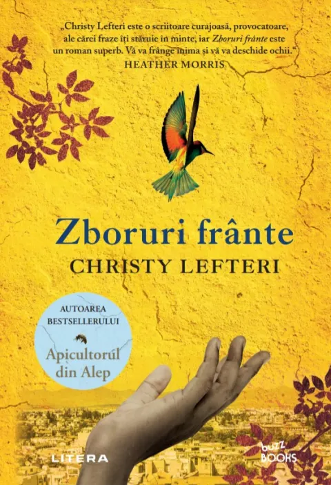 Coperta cărții Zboruri frante