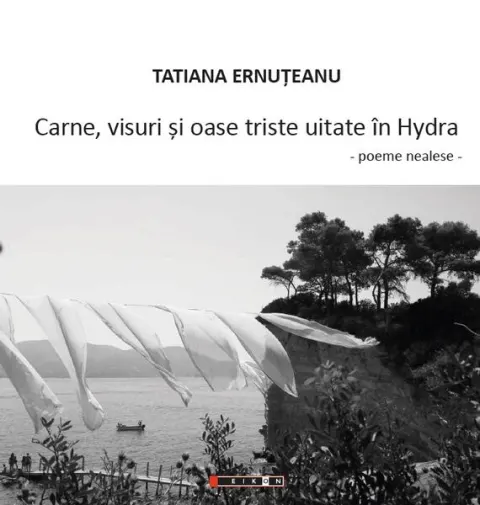 Coperta cărții Carne, visuri și oase triste uitate în Hydra