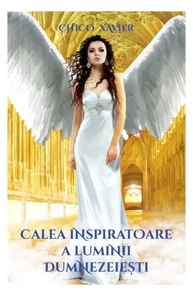 Coperta cărții Calea inspiratoare a luminii dumnezeiești