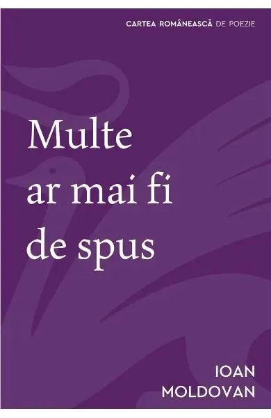 Coperta cărții Multe ar mai fi de spus