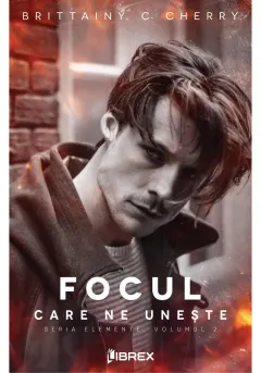 Coperta cărții Focul care ne uneste
