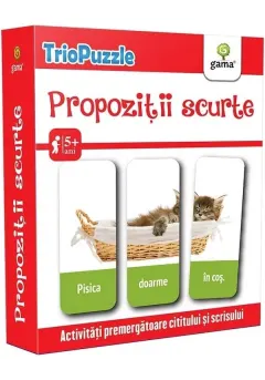 Coperta cărții Propozitii scurte