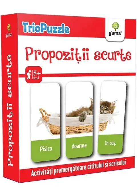 Coperta cărții Propozitii scurte