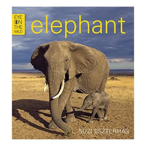 Coperta cărții Elephant
