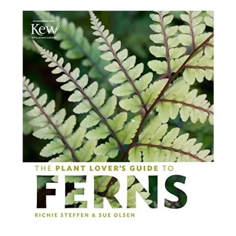 Coperta cărții The plant lover's guide to ferns