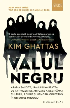 Coperta cărții Valul negru