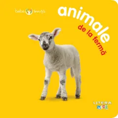 Coperta cărții Bebe învață: Animale de la fermă