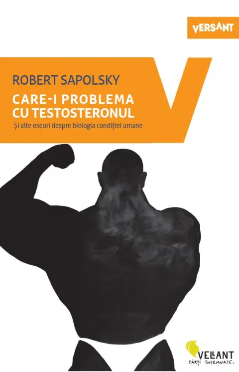 Coperta cărții Care-i problema cu testosteronul