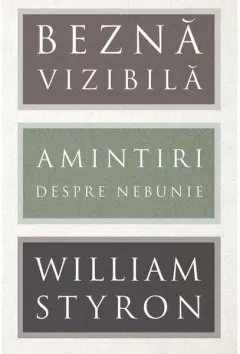 Coperta cărții Beznă vizibilă
