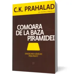 Coperta cărții Comoara de la baza piramidei
