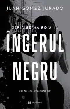 Coperta cărții Ingerul negru