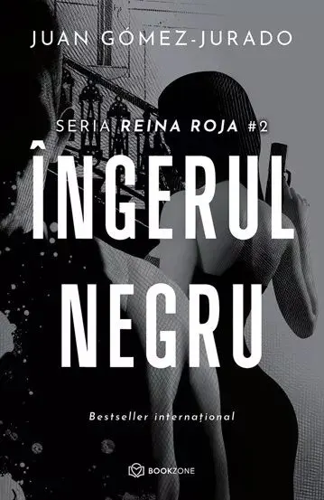 Coperta cărții Ingerul negru