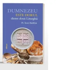 Coperta cărții Dumnezeu este dorul dintre doua liturghii