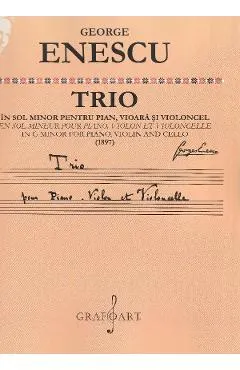 Coperta cărții Trio in sol minor pentru pian, vioara si violoncel (1897)