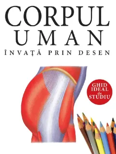 Coperta cărții Corpul uman: Invata prin desen