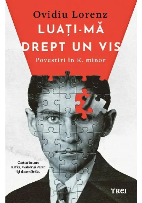 Coperta cărții Luati-ma drept un vis. Povestiri in K. minor