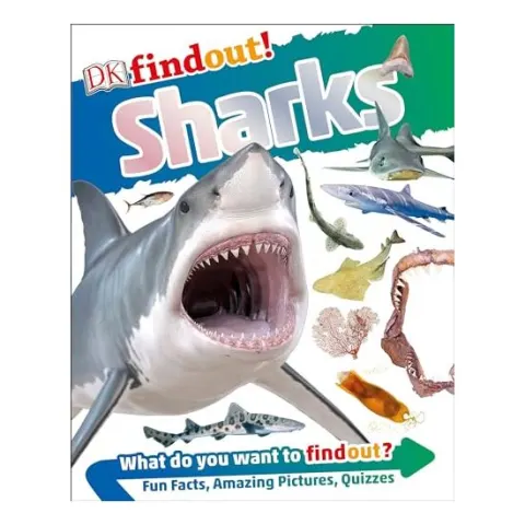 Coperta cărții DKfindout! Sharks