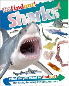 Coperta cărții DKfindout! Sharks