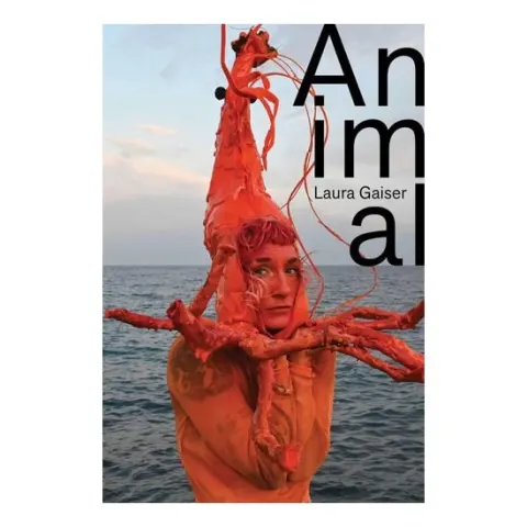 Coperta cărții Animal Laura Gaiser