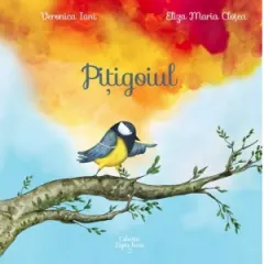 Coperta cărții Pitigoiul