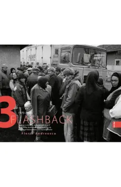 Coperta cărții Flashback 3. Societate multilateral dezvoltată falimentară