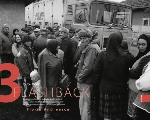 Coperta cărții Flashback 3. Societate multilateral dezvoltată falimentară