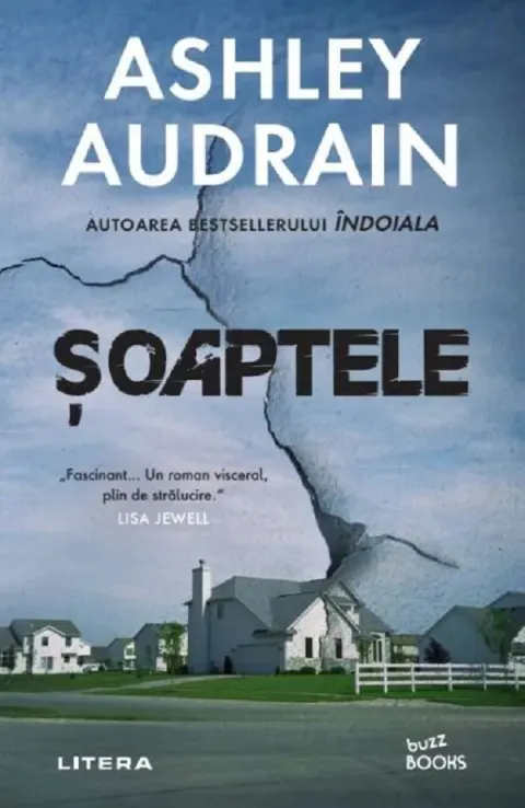 Coperta cărții Soaptele