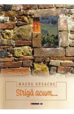 Coperta cărții Striga acum...