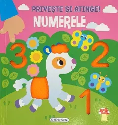 Coperta cărții Privește și atinge! Numerele
