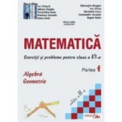 Coperta cărții Matematica - exercitii si probleme pentru clasa a VI-a, partea I