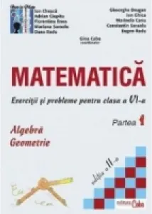 Coperta cărții Matematica - exercitii si probleme pentru clasa a VI-a, partea I