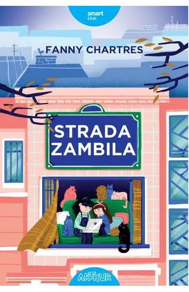 Coperta cărții Strada Zambila