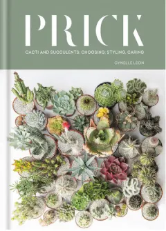 Coperta cărții Prick: cacti and succulents : choosing, styling, caring