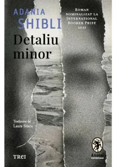 Coperta cărții Detaliu minor