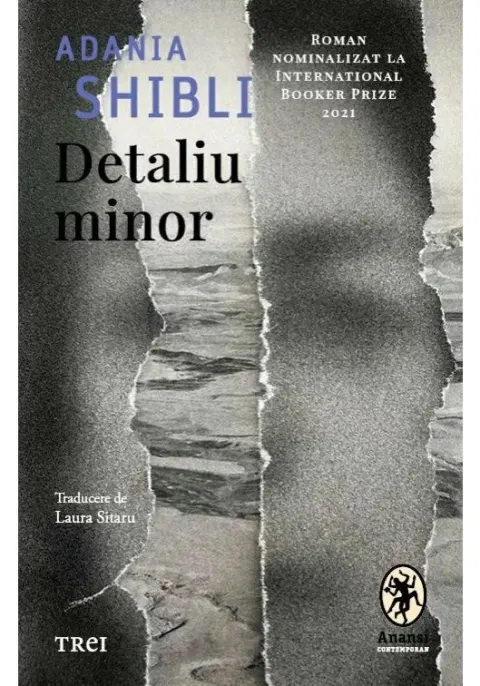 Coperta cărții Detaliu minor