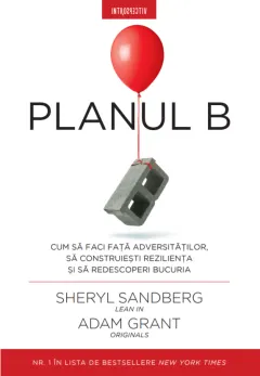 Coperta cărții Planul B